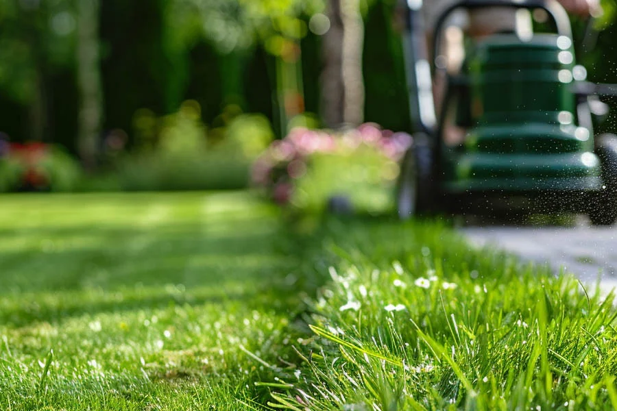 eco self propelled lawn mower